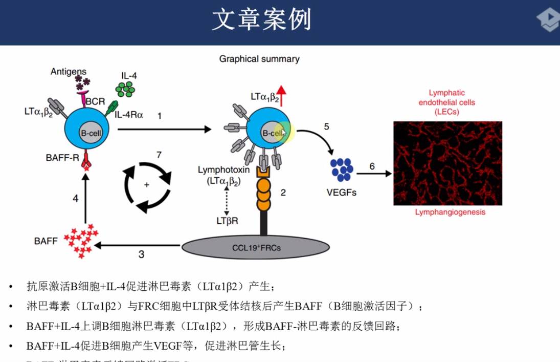 通风机设计入门与精通，从基础概念到高级应用的全解析