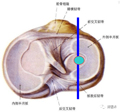 西装开襟是什么意思