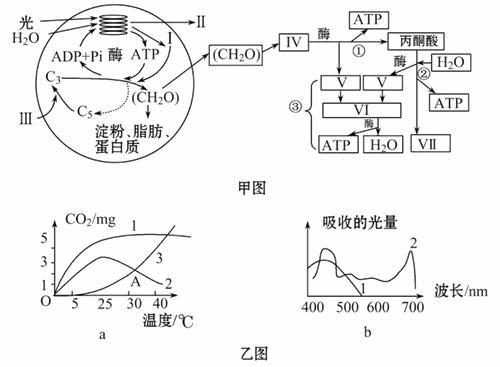 光补偿板的作用