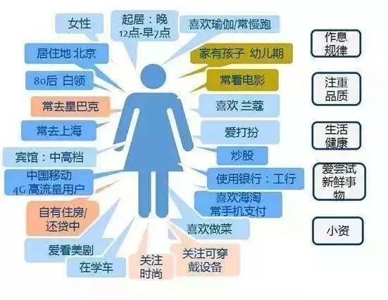 网络电话的概念、应用方式及其在现代通讯领域的重要性