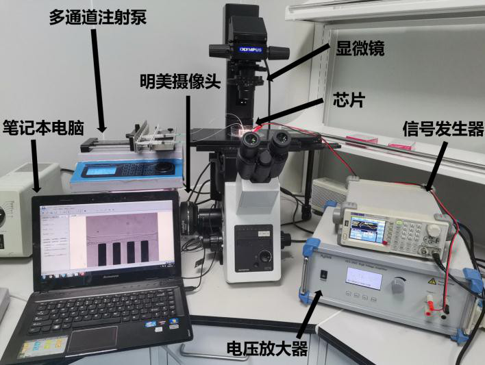 粒度仪是检测什么的