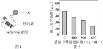 塑料反射，探究其原理与应用