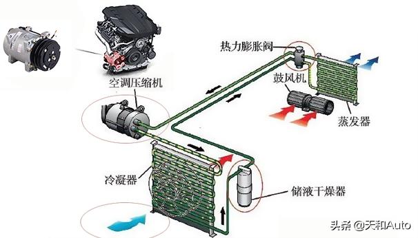 毛钱的幸福 第10页