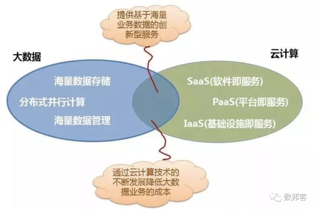 羽绒服与仿生技术，深入解析其关联与差异