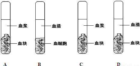 橡胶配合剂分为哪四大体系