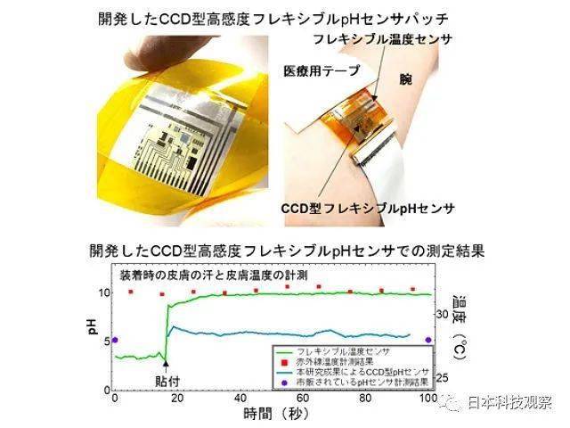 新型辅料及其应用概述