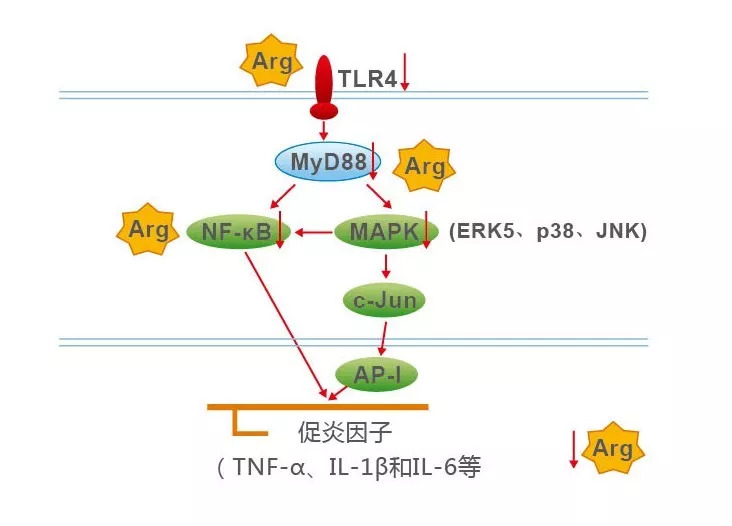 护角有用吗