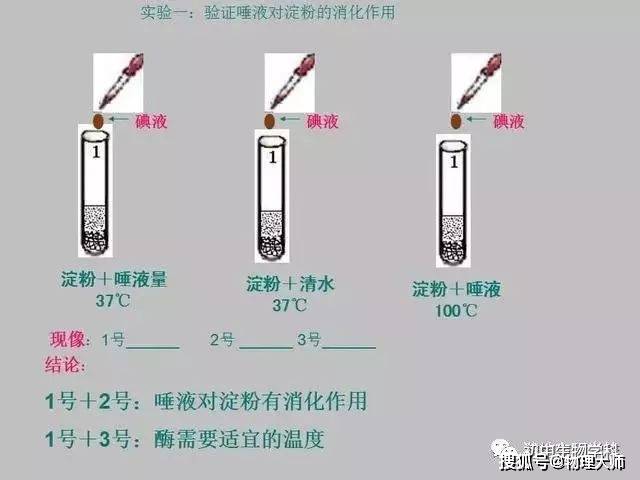 风机叶片螺栓的重要性及其相关知识解析