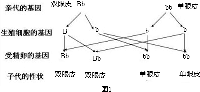 仿真器具和真的一样吗