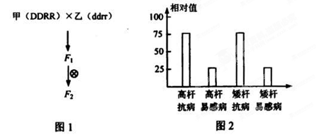 计数器与圆度仪的使用方法一样吗