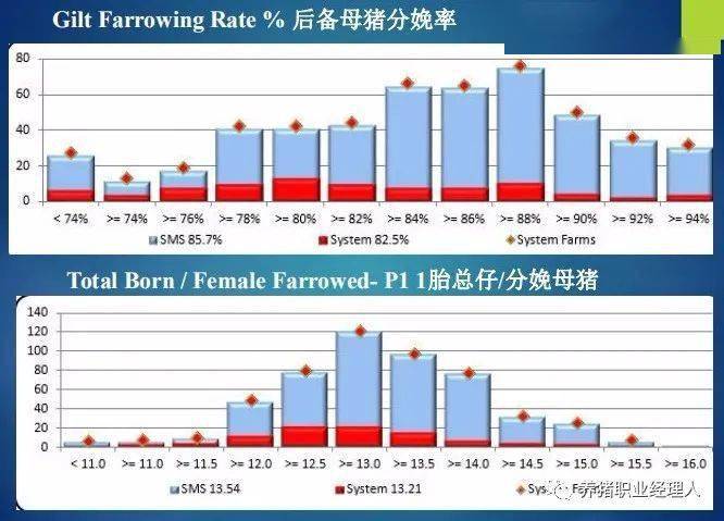 纸品制造，从原材料到精美产品的转化过程