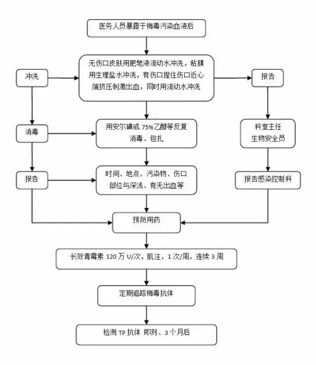 防护面罩生产工艺流程详解