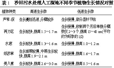 人工真皮的价格及其影响因素