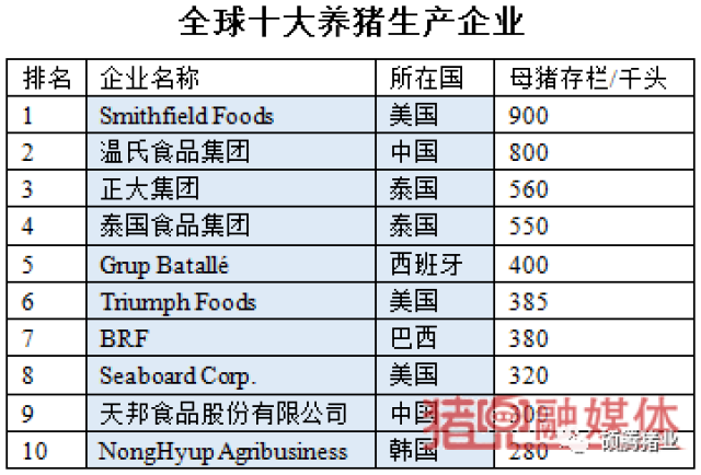 云母纸生产厂家排名及行业概览