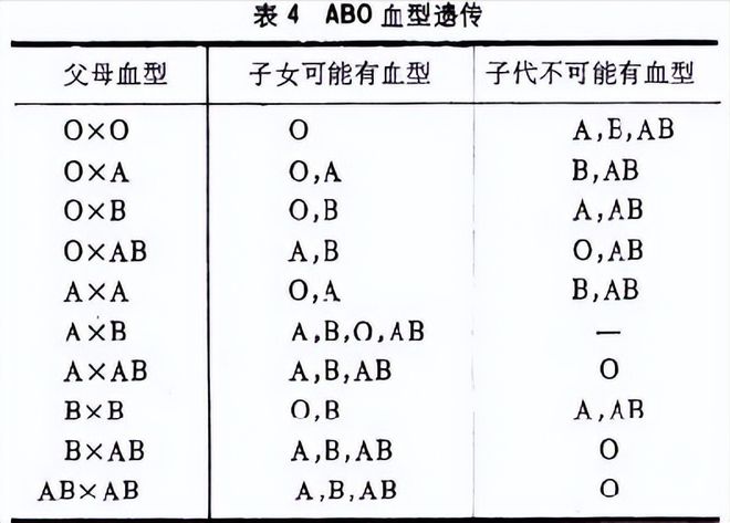 2024年12月23日 第15页