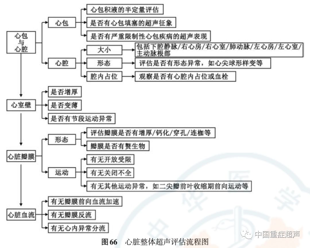 林照围简历,林照围简历与系统化评估说明——金版探索,定性解析评估_3D62.76.25