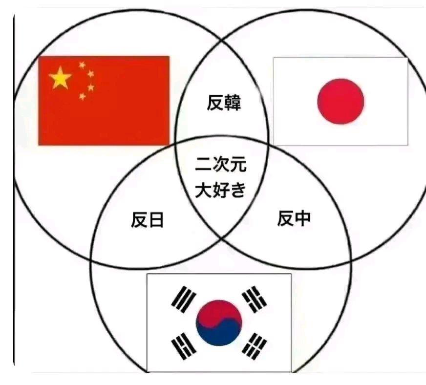 历史与中国和韩国娱乐圈的关系