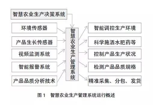 农村体育场地建设存在的问题及对策论文