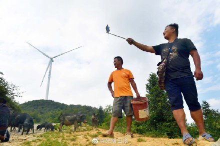 农村直播给农民带来了什么影响,Rural Live Streaming and Its Impact on Farmers: A Stability Strategy Analysis,全面设计执行数据_轻量版39.59.38