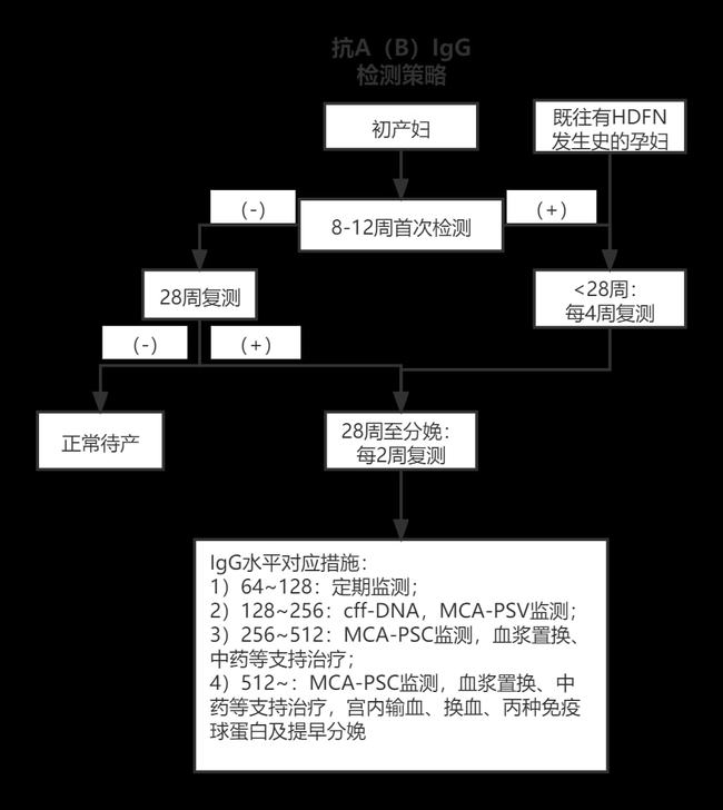 abo溶血是怎么了,关于abo溶血现象与持久方案设计探讨,实时解答解释定义_高级款52.82.45